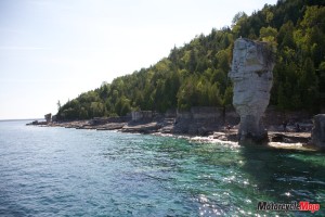 Blue Heron Coast Line