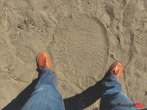 Large elephant foot print